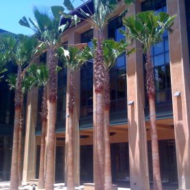 Stanford University SIEPR, fire-rated windows and doors, custom engineered window system