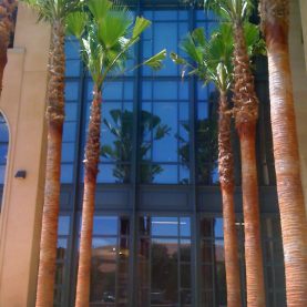 Stanford University SIEPR, fire-rated windows and doors, custom engineered window system