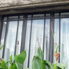 Historic Customs House Window, shanghai, Hopes Windows.